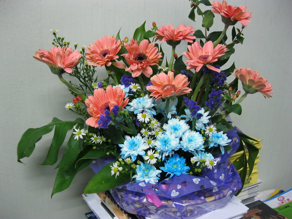 Karangan Bunga Yogyakarta: Rangkaian Indah untuk Segala Peristiwa