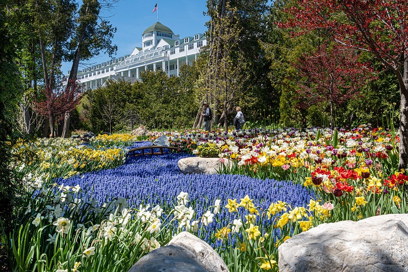 Karangan Bunga Medan: Sentuhan Harmoni dalam Kehidupan Sehari-hari